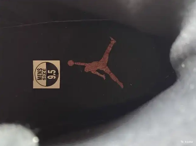 Cheap TBK Jordan Retro 12 Air Playoffs (2012) 130690-001 0521